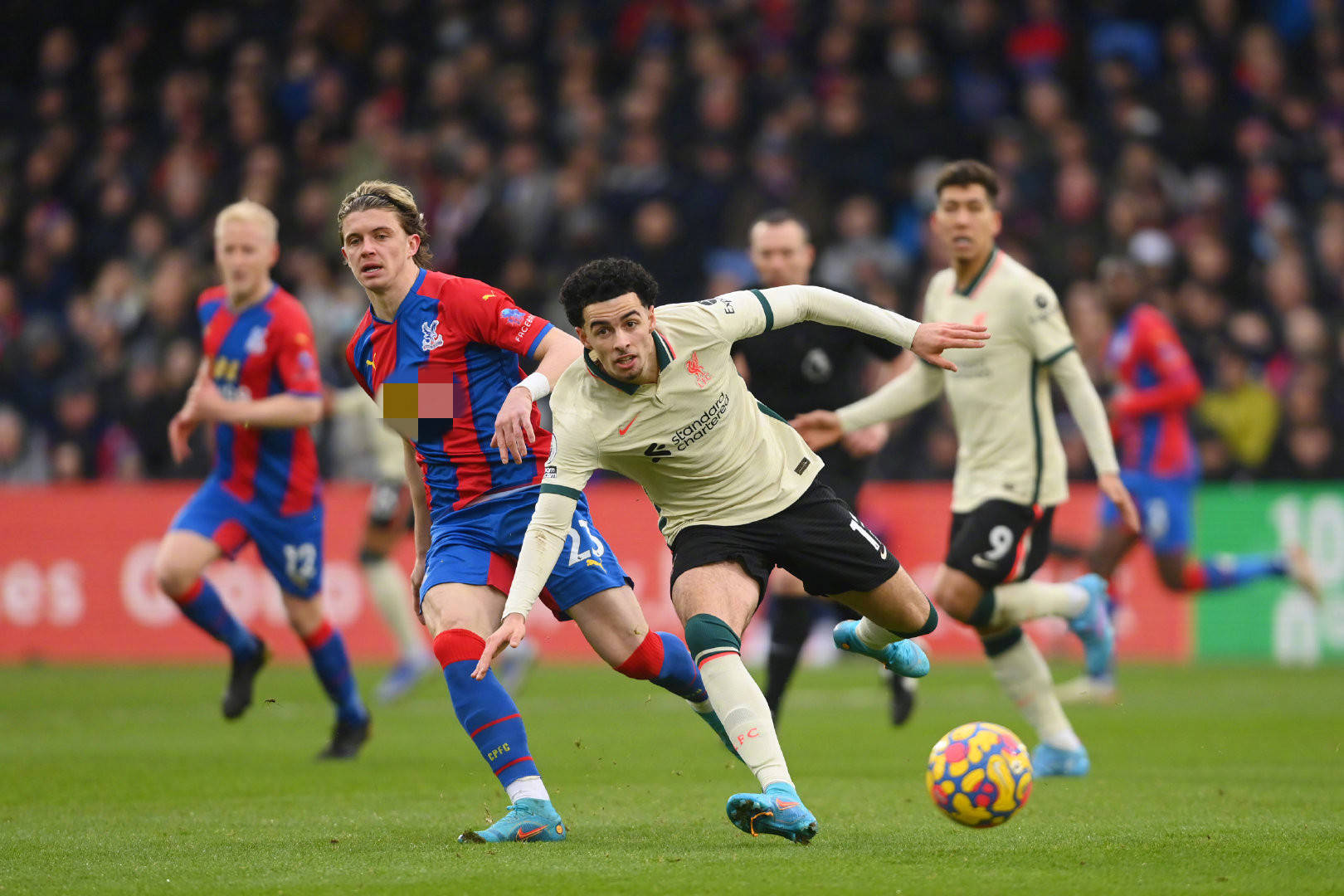 经济层面 经济层面